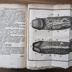 Antique Book Medical Book HEISTER LAURENCE Anatomy, 1727