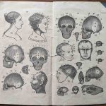 Extremely Rare Phrenology Booklet, 1838