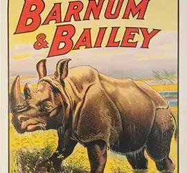 Barnum & Bailey Circus - Giant Rhinoceros. 1909