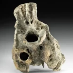 Fossilized Sabertooth Smilodon Populator Skull Fragment