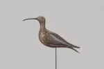 The Harmon Hollow Nantucket Curlew Decoy
