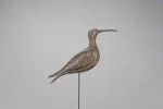 The Harmon Hollow Nantucket Curlew Decoy