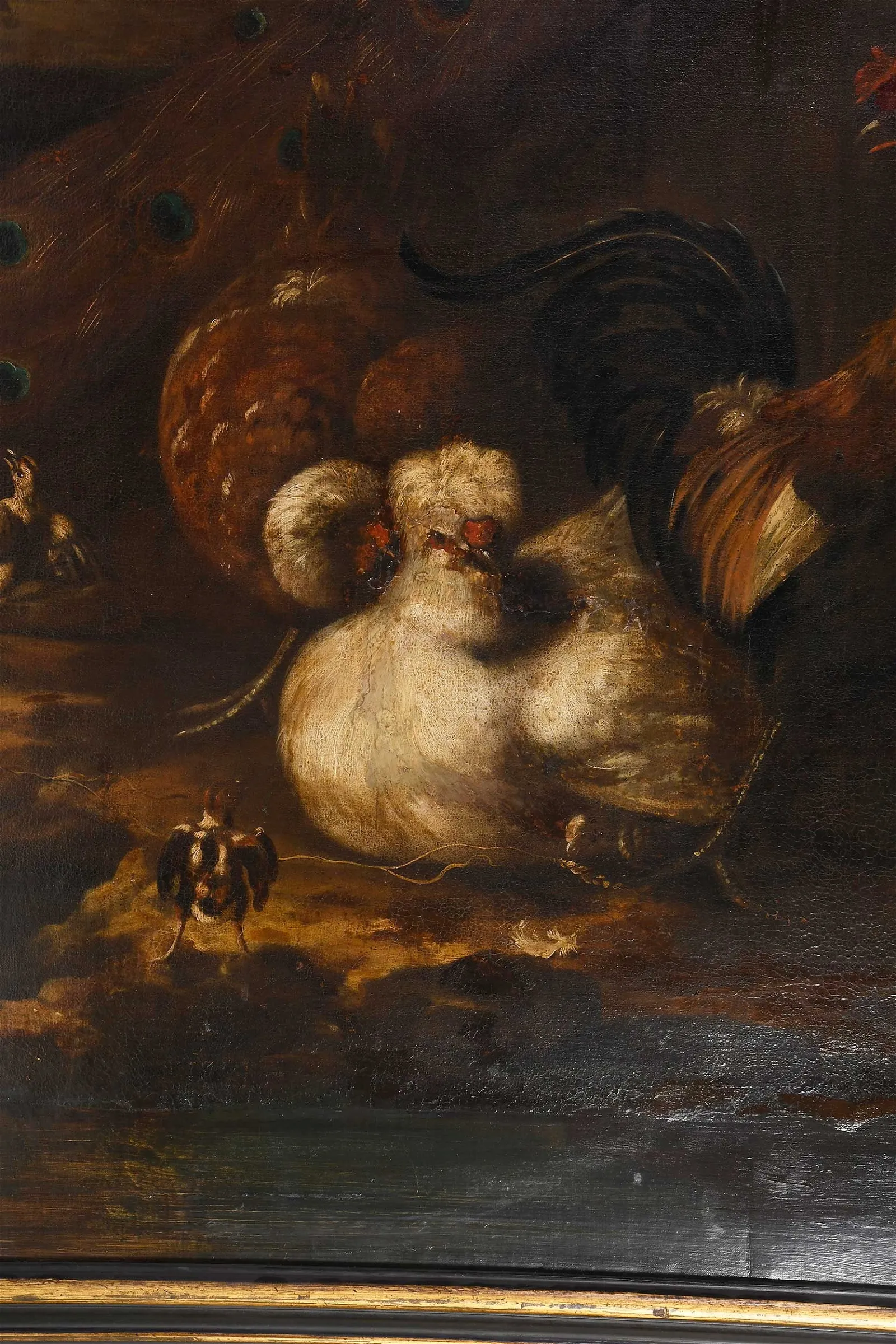 Manner of Melchior de Hondecoeter, A Pair of Menagerie Paintings