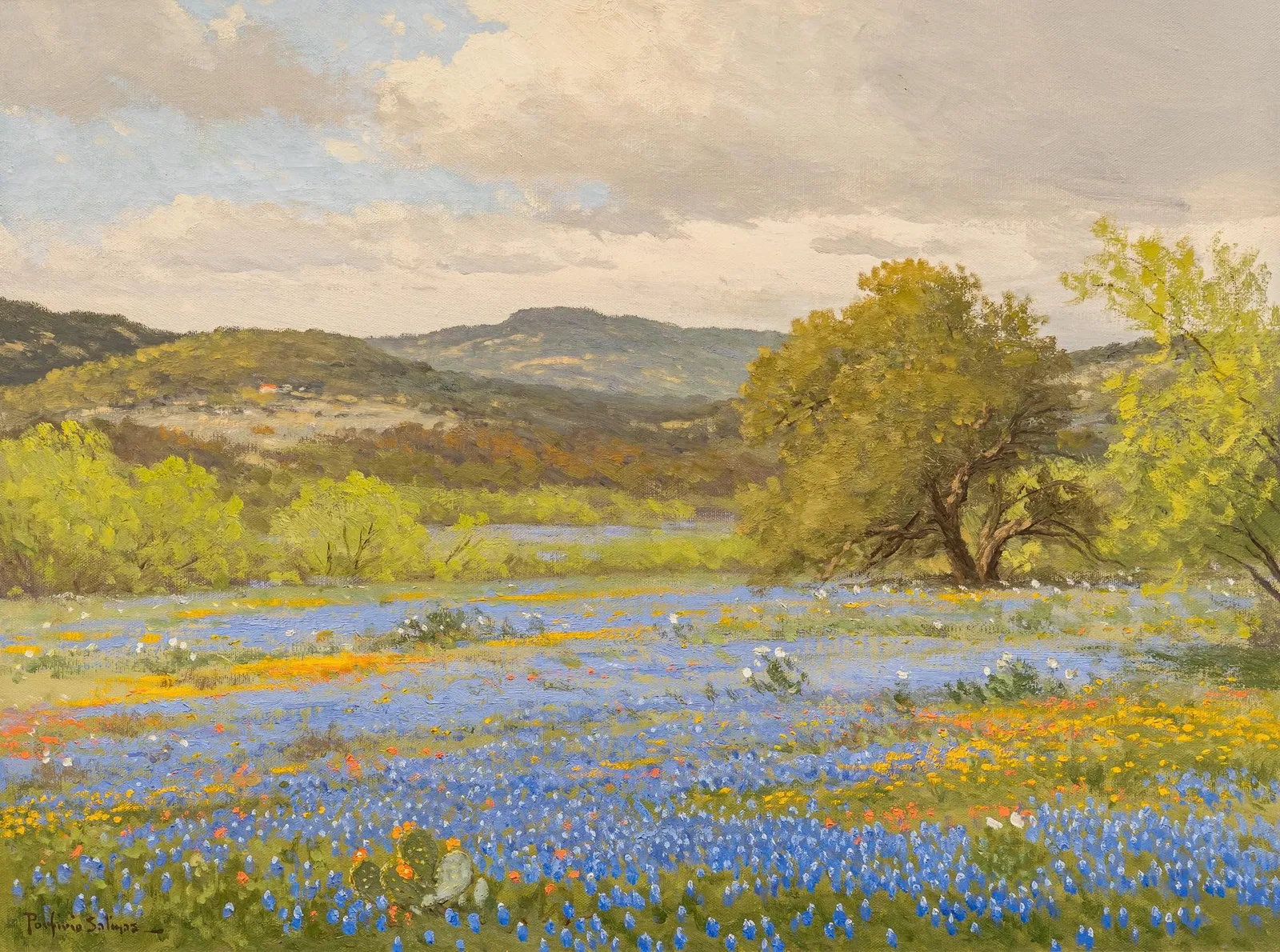 Porfirio Salinas, Bluebonnet Landscape