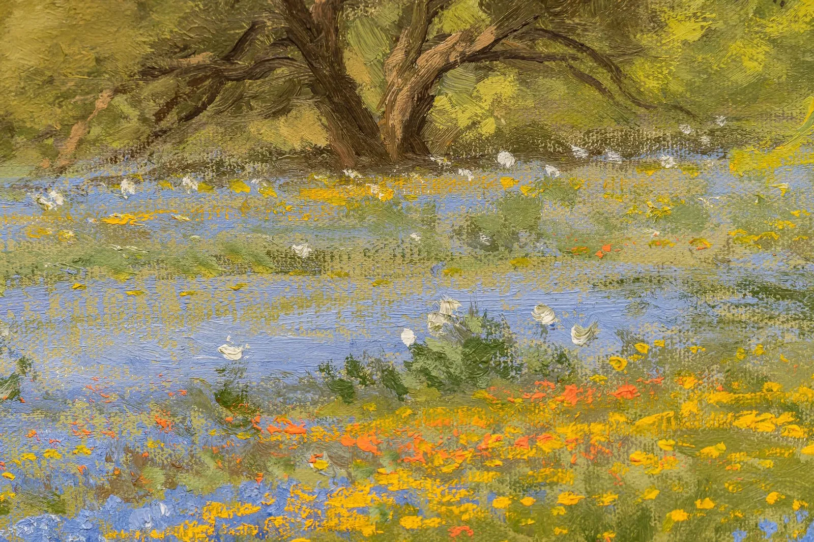 Porfirio Salinas, Bluebonnet Landscape